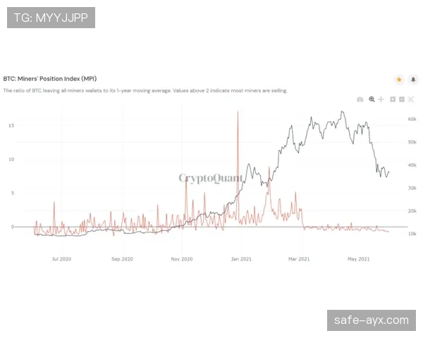 数据揭示：本赛季明星球员表现亮眼，未来走势成焦点